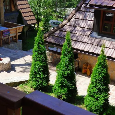 Svetla U Planini Daire