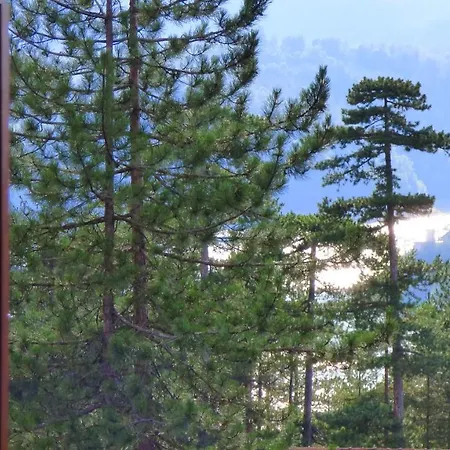 Svetla U Planini باغينا باستا