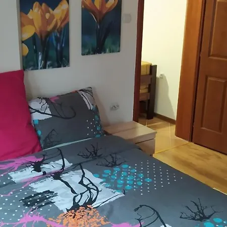 Svetla U Planini Daire *
