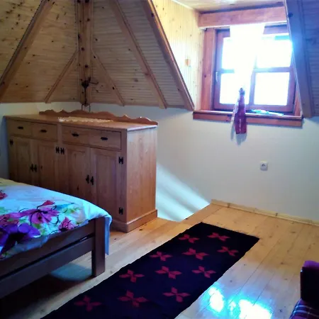 Svetla U Planini Daire