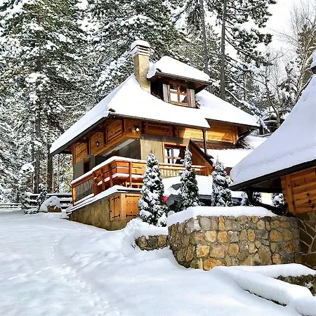 Svetla U Planini * باغينا باستا