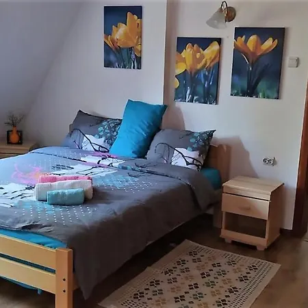 Svetla U Planini * باغينا باستا