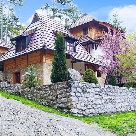 Svetla U Planini * باغينا باستا