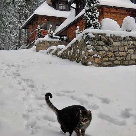 Svetla U Planini شقة باغينا باستا