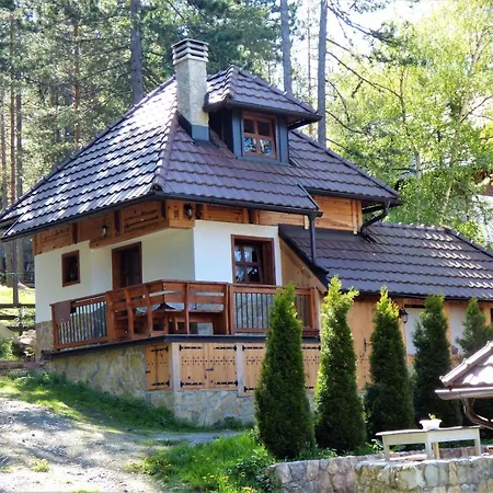 Daire Svetla U Planini