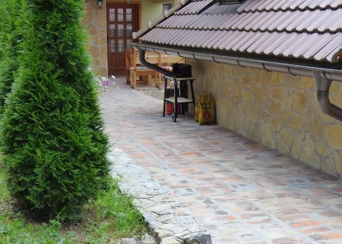 Apartment Svetla U Planini