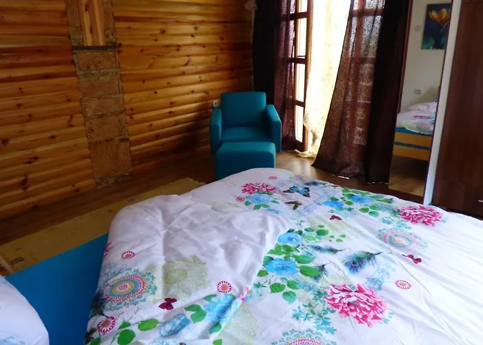 Apartment Svetla U Planini