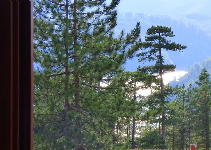 Svetla U Planini バイナ・バシュタ