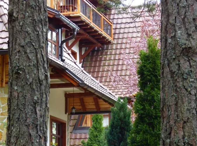 Apartment Svetla U Planini