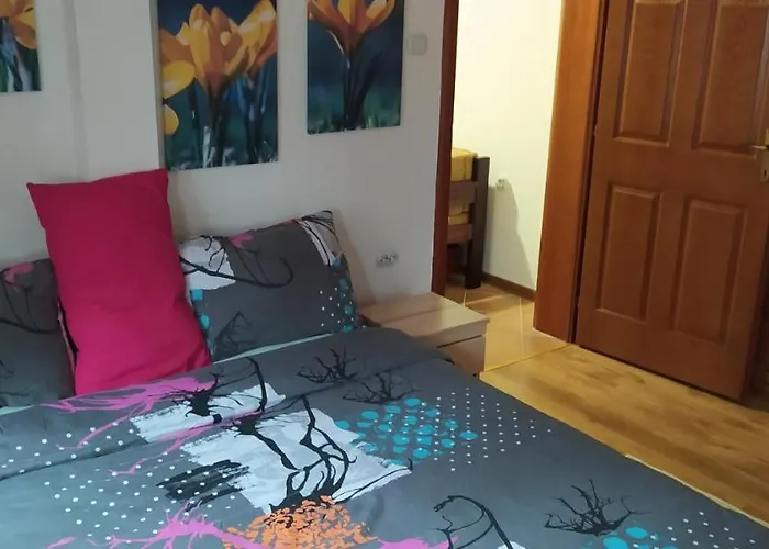 Svetla U Planini アパート *