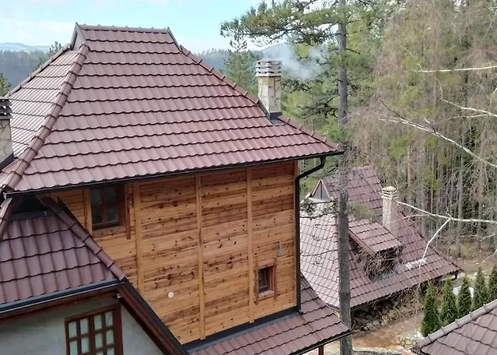 Apartment Svetla U Planini