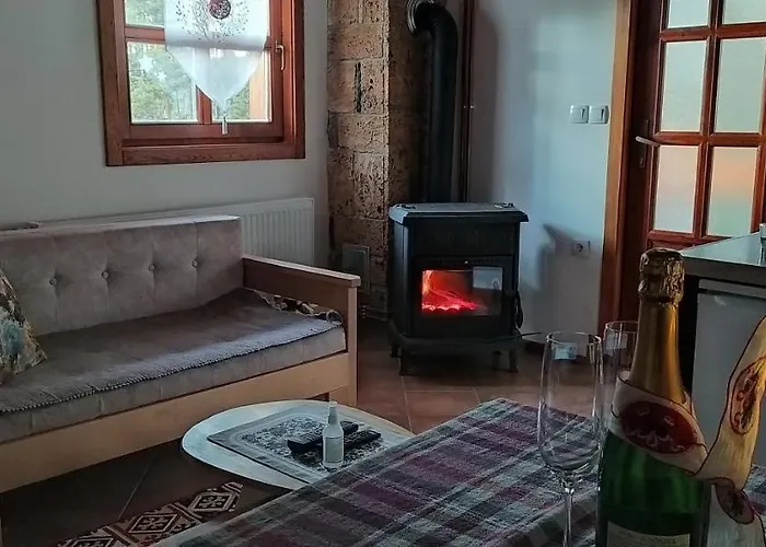 Svetla U Planini アパート