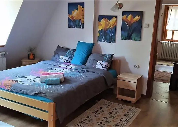 Svetla U Planini * Bajina Basta