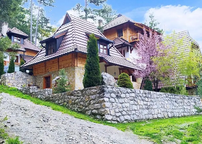 Svetla U Planini * バイナ・バシュタ