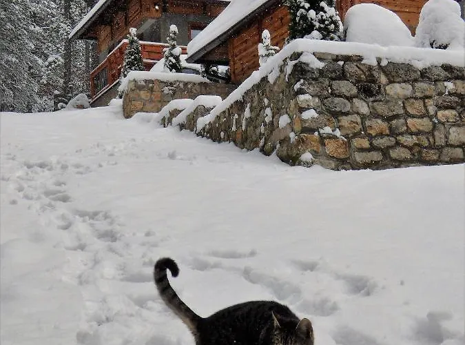 Svetla U Planini Apartment Bajina Basta